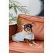 Шлея-жилет Pet Fashion Rob для собак размер XS2 PR243844 фото 5