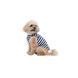 Майка Pet Fashion Tropic для собак XS PR244575 фото 2
