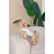 Шлея-жилет Pet Fashion Rob для собак размер XS2 PR243844 фото 4