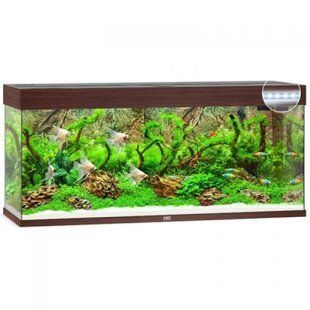 Аквариум Juwel прямой Rio 240 LED, 121х55х41 см, 240 л 3750/3700 фото