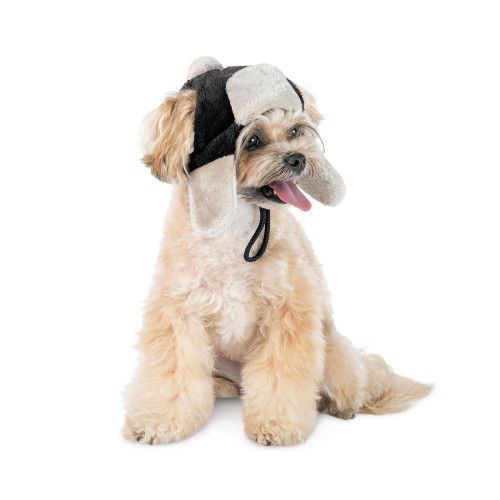 Шапка Bubo Pet Fashion для собак, розмір ХS чорна РR442393 фото