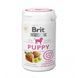 Вітаміни Brit Vitamins Puppy для цуценят для підтримки здорового росту й розвитку з лососем 150 г 112059 фото 1