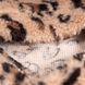 Толстовка Pet Fashion Push для собак XS2 PR244681 фото 3