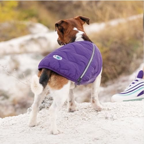 Жилет Pet Fashion E.Vest для собак фіолетовий S PR242421 фото