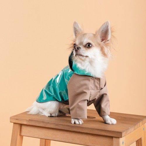 Дощовик Pet Fashion Semmy морська хвиля капучіно M PR243452 фото
