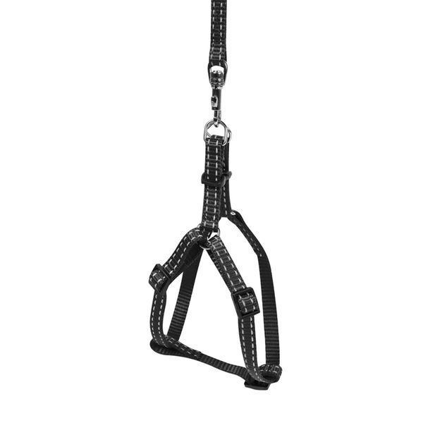 Шлей "Dog Extreme" из нейлона регулируемый с поводком (ширина 14мм, В:40-55см) черный 07031 фото