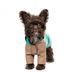 Дощовик Pet Fashion Semmy морська хвиля капучіно M PR243452 фото 2