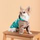 Дощовик Pet Fashion Semmy морська хвиля капучіно M PR243452 фото 6