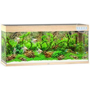 Аквариум Juwel прямой RIO 240 LED, 121х55х41см, 240 л 3850/3800 фото
