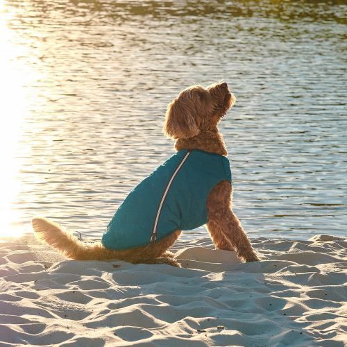 Жилет Pet Fashion E.Vest для собак морська хвиля М2 PR242416 фото