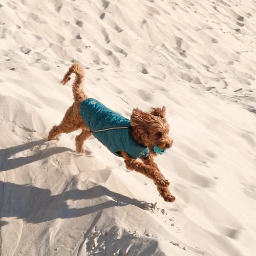 Жилет Pet Fashion E.Vest для собак морська хвиля М2 PR242416 фото