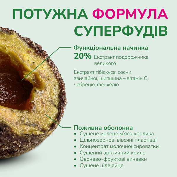 LK Baits Pet Nutrigo Plantago Mini Функціональні ласощі для собак дрібних порід з сиропом подорожника (&Oslash; 15 мм), 75 г 7777026 фото
