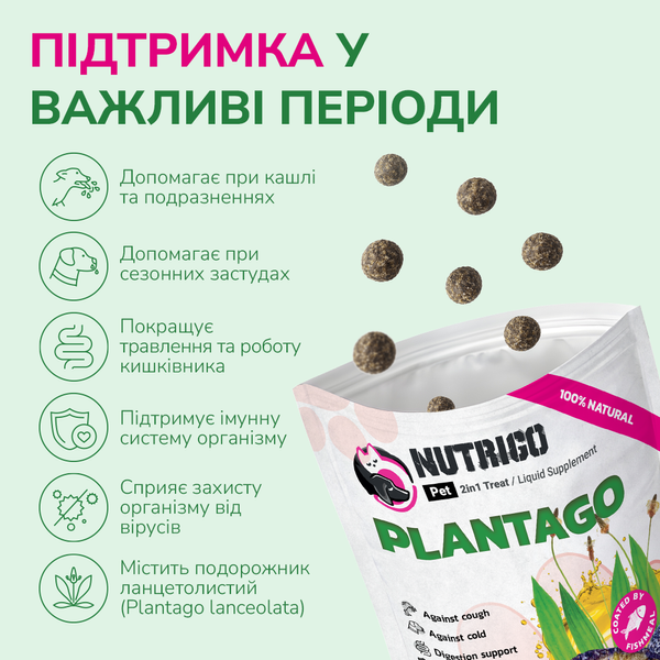 LK Baits Pet Nutrigo Plantago Mini Функціональні ласощі для собак дрібних порід з сиропом подорожника (&Oslash; 15 мм), 75 г 7777026 фото