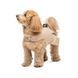 Сарафан Pet Fashion Lily для собак дівчинка бежевий XS PR440443 фото 3