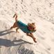 Жилет Pet Fashion E.Vest для собак морська хвиля М2 PR242416 фото 4