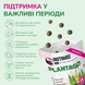 LK Baits Pet Nutrigo Plantago Mini Функціональні ласощі для собак дрібних порід з сиропом подорожника (&Oslash; 15 мм), 75 г 7777026 фото 4