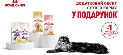 Акційний корм для собак Royal Canin