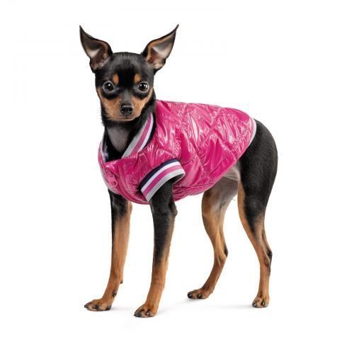 Бомбер Pet Fashion Grace для собак XS PR243014 фото