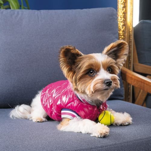 Бомбер Pet Fashion Grace для собак XS PR243014 фото