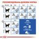 Корм для домашніх котів&nbsp;ROYAL CANIN INDOOR 2.0 кг 25290209 фото 6
