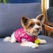Бомбер Pet Fashion Grace для собак XS PR243014 фото 4