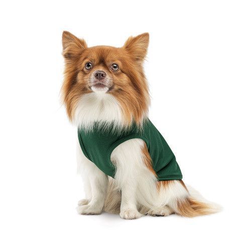 Борцовка Kale ТМ Pet Fashion для собак XS зеленая PR 441785 фото