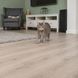 Нашийник Trixie для котів Клітинка з дзвіночком нейлоновий 20-30 см/10 мм в асортименті 41433 фото 7