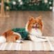 Борцовка Kale ТМ Pet Fashion для собак XS зеленая PR 441785 фото 4