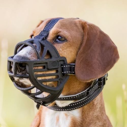 Намордник Trixie Muzzle Flex для собак чорний силікон M-L 27 см 17613 фото