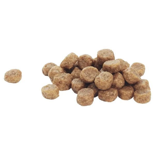 Сухий корм PRO PLAN Small&Mini Puppy 