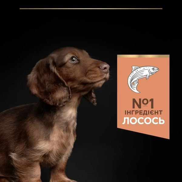 Сухий корм PRO PLAN Small&Mini Puppy 