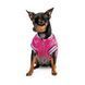 Бомбер Pet Fashion Grace для собак S PR243016 фото 3