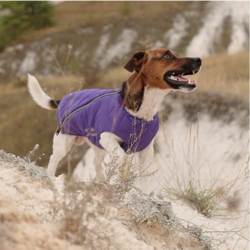 Жилет Pet Fashion &laquo;E.Vest&raquo; для собак, размер L, фиолетовый PR242425 фото