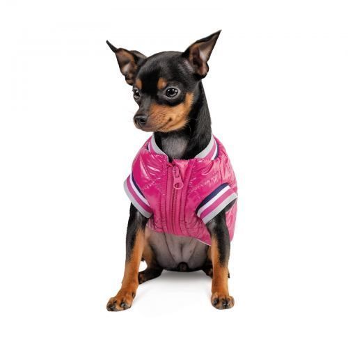 Бомбер Pet Fashion Grace для собак М PR243017 фото