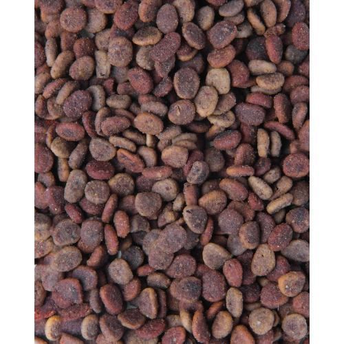 Корм сухой Carnilove True Fresh Cat Fresh Chicken для взрослых кошек с курицей 4,8 кг 172164 фото